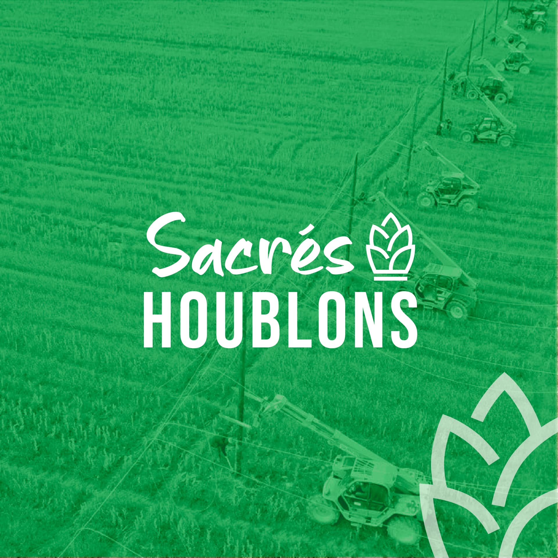 Références – Sacrés Houblons