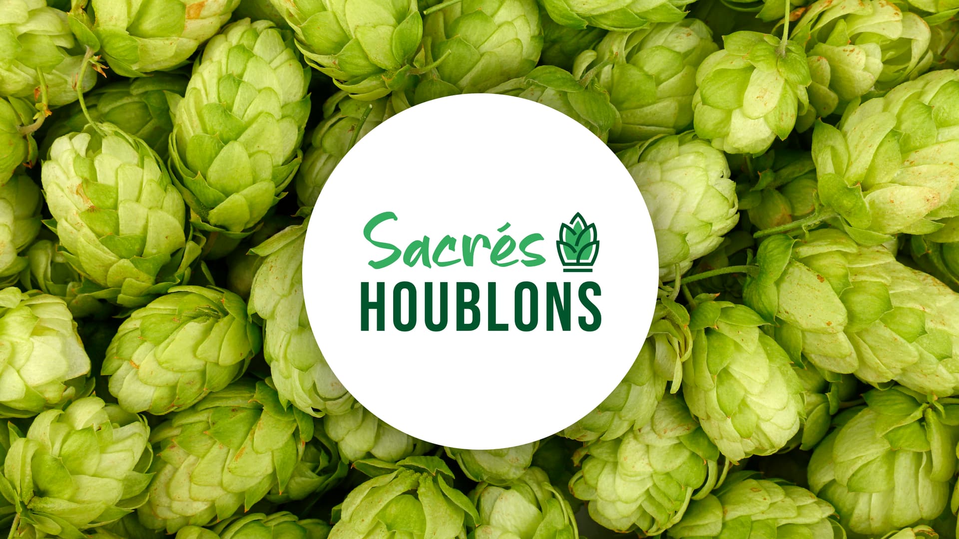 Sacrés Houblons 1