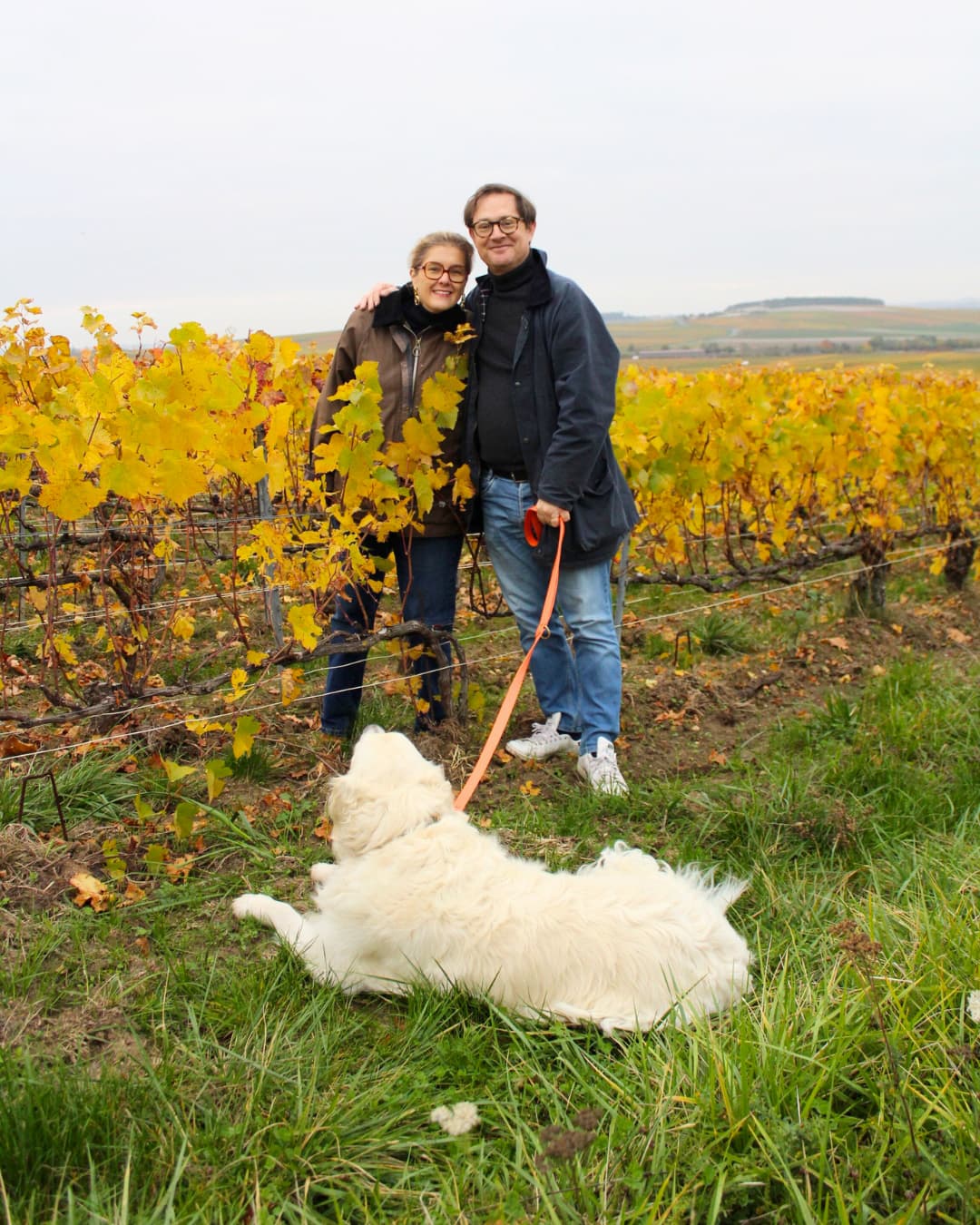 Champagne Varicour 2