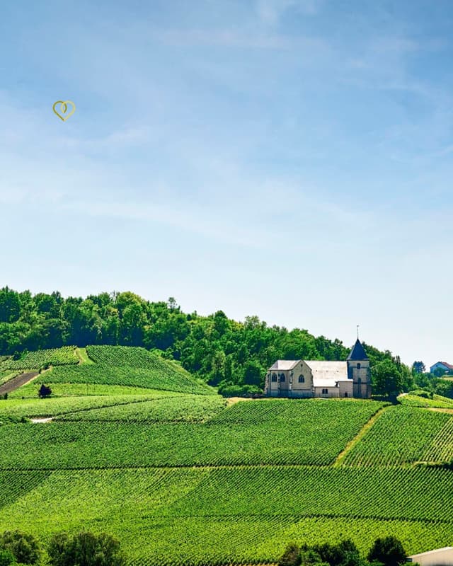 Stratégie Social Media