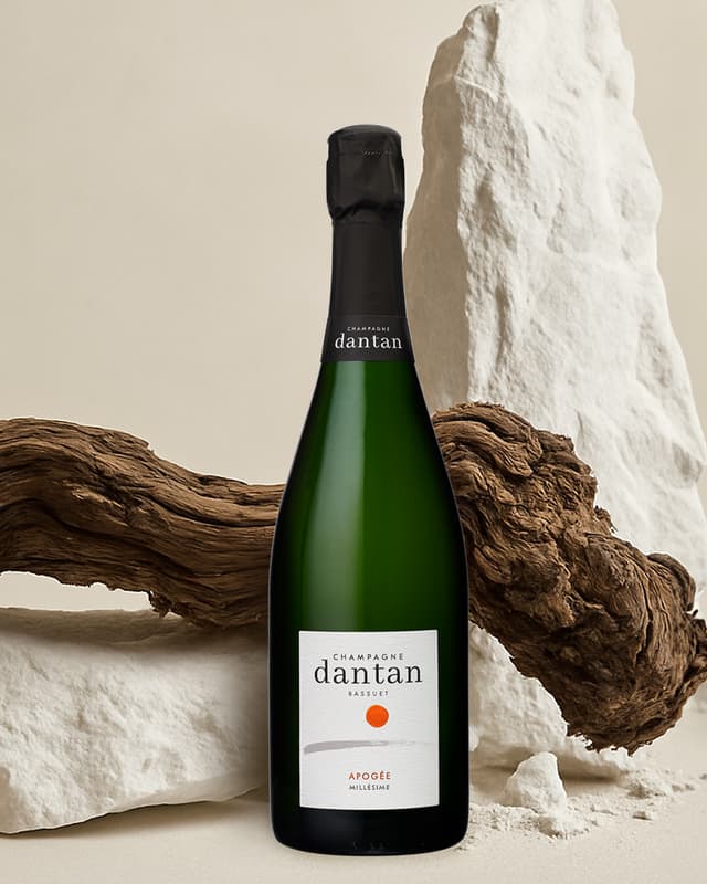 Branding identité visuelle